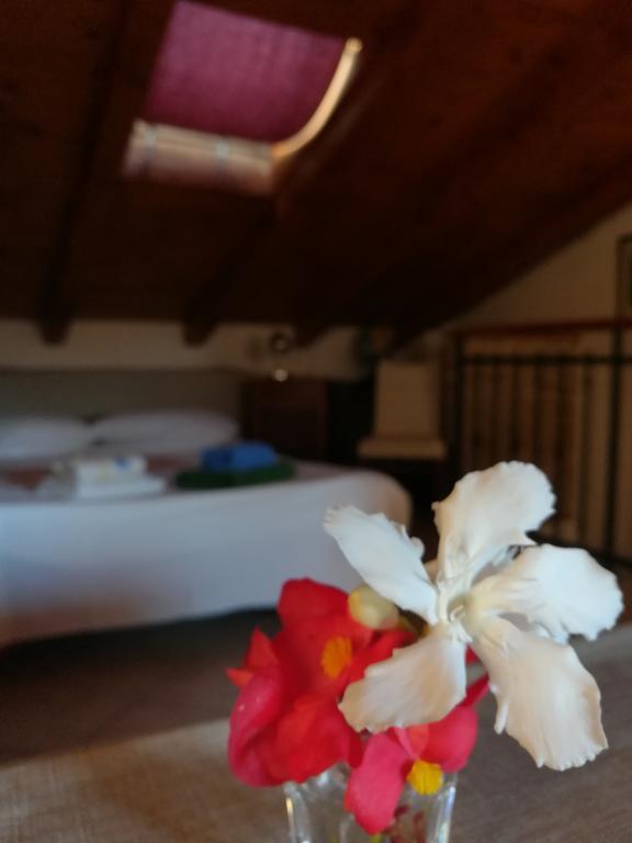La Calletta Rovinj Kültér fotó