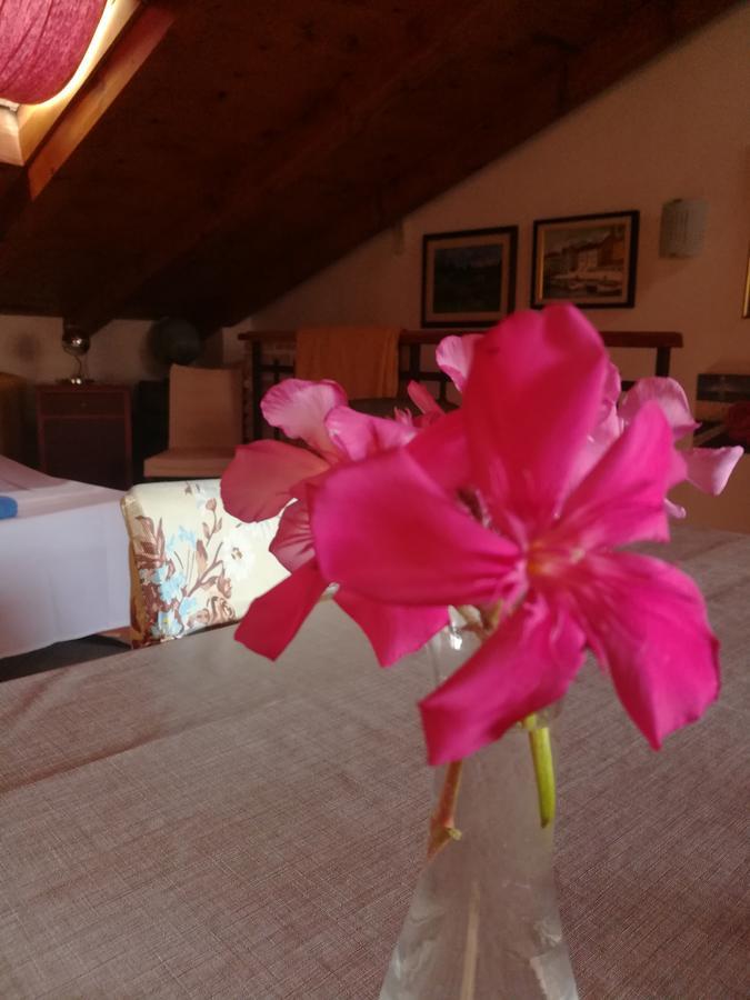 La Calletta Rovinj Kültér fotó